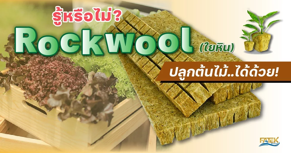 Rockwool can plant trees too